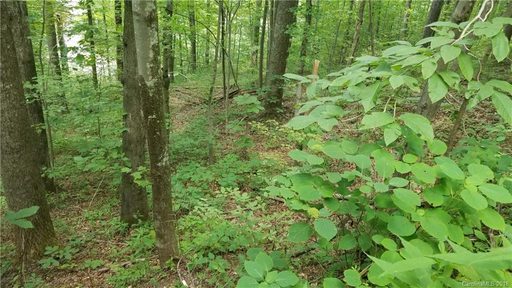 0 Bear Creek Lane 20 sold lot in Bear Creek, Saluda, NC