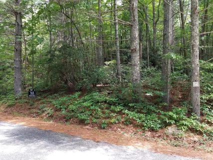 0 Old Mt Olivet Road 7 sold home in Hickory Run, Zirconia, NC
