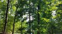 000 Old Overlook Trail 193 & 192 sold home in Hendersonville, SC