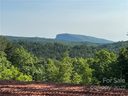 Lot 4 Pisgah Preserve Drive Lot# 4 sold home in Nebo, SC