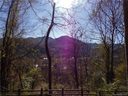 00 Silverleaf Circle 56 & 57A sold home in Maggie Valley, SC