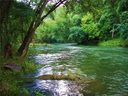 Lot 285 Chickadee Avenue sold home in Lake Lure, SC