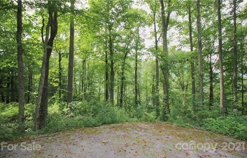 99999 Winding Ridge Road 1 sold home in Winding Ridge, Fairview, NC