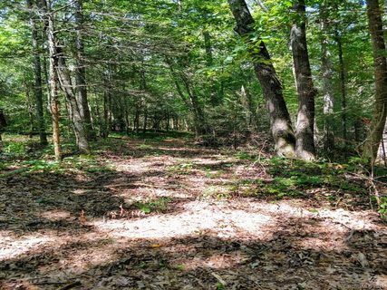 Lot 13 River Bend Drive sold land listing in Bend Of Ivy, Mars Hill, NC