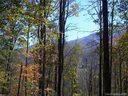31 Fern Trail sold home in Waynesville, SC