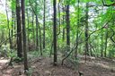 00 Old Chestnut Lane 10 sold home in Hendersonville, SC