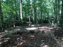 1248 Arborcrest Way Lot 46 sold home in Swannanoa, SC