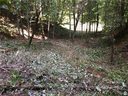 190 Yosemite Falls Road 148 sold home in Black Mountain, SC