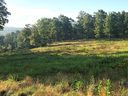 L3 Stones Lake Road sold home in Cedar Mountain, SC