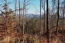 Tbd Quail Ridge Road 4 & 5 sold home in Mars Hill, SC