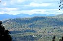 51 Alta Citta Lane sold home in Asheville, SC