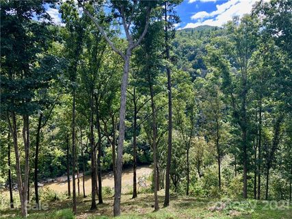 3519 French Broad Parkway