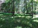 2216 Grey Road sold home in Davidson, SC