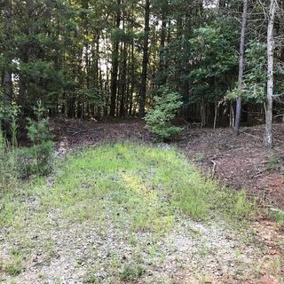 4845 Cottage Park Road 12