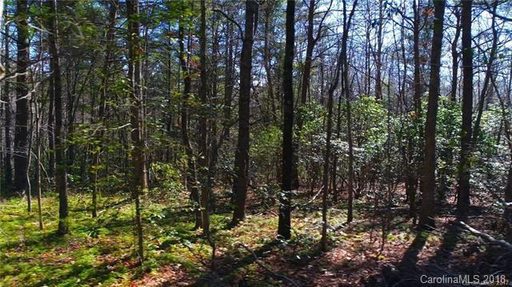 99999 Sedgewood Court sold lot in Sedgewood, Fairview, NC