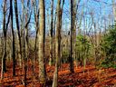733 Slick Rock Road 1-A sold home in Brevard, SC