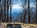 152 Skycliff Drive 8 sold home in Asheville, SC