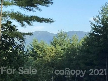 147 Hunt Camp Drive 60