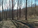 Lot 5 Sage Lane sold home in Waynesville, SC