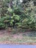 9481 Riviera Drive sold home in Sherrills Ford, SC