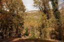 0 Mintwood Court 10 sold home in Lake Lure, SC