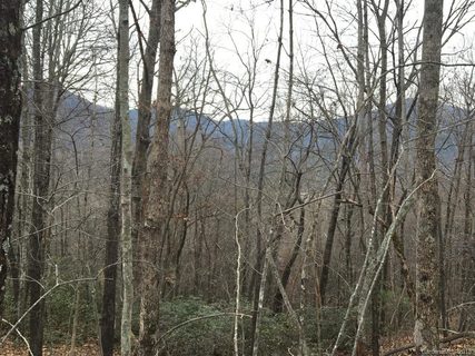 0 Garden Lane sold lot in Lurewoods Manor, Lake Lure, NC