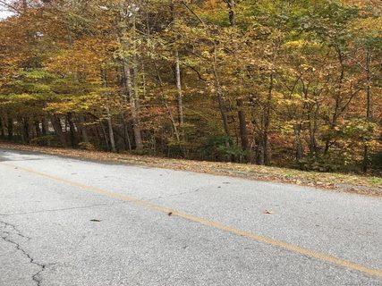 Lot 109 Timber Creek Road