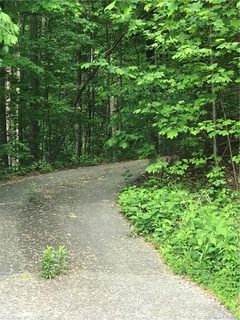 Lot 4 Melrose Mountain Estates