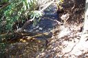 43 Lobdell Road Lot 43 sold home in Pisgah Forest, SC