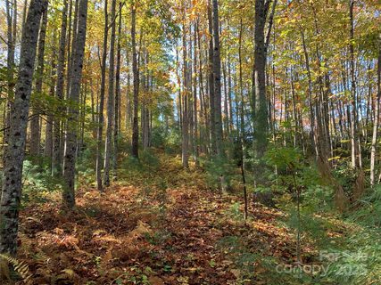 Lot 556 Timber Rock Drive active home in Timber Rock, Lenoir, NC