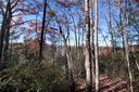 Lot 37 West View Road sold home in Brevard, SC
