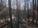 60 Section 4 Bald Creek Road sold home in Clyde, SC