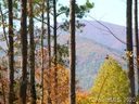 0 Loblolly Lane 14 sold home in Mill Spring, SC