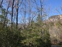 0000 Bald Hill Court 92 sold home in Lake Lure, SC