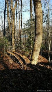 Lot 12 Tanglewood Lane