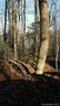 Lot 12 Tanglewood Lane sold home in Saluda, SC