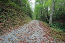 12 Double Creek Drive sold home in Brevard, SC