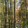 Lot 81 Winesap Boulevard sold home in Lake Lure, SC
