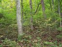 000 Whispering Woods Path 95 sold home in Mars Hill, SC