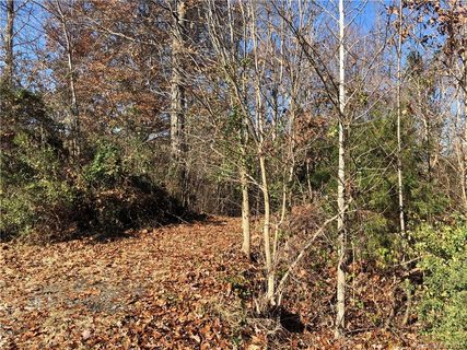 233 Catawba Crest Lane 38