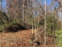 233 Catawba Crest Lane 38 sold home in Clover, SC