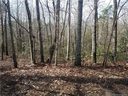 0 Whispering Pines Circle 5 sold home in Forest City, SC