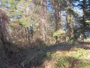 0 Plantation Drive 31 sold home in Hendersonville, SC