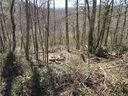 0 Plantation Drive 22 sold home in Hendersonville, SC
