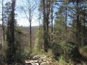 0 Plantation Drive 27 sold home in Hendersonville, SC