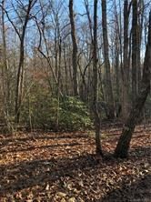 Lot 10 Mallard Drive sold home in Willow Pond, Columbus, NC