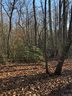 Lot 10 Mallard Drive sold home in Columbus, SC
