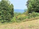 415 Skybrook Farm Drive 2R sold home in Hendersonville, SC