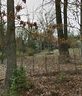 99999 Laurel Loop 83 sold home in Asheville, SC