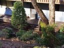 87 Willow Road B-2 sold home in Waynesville, SC